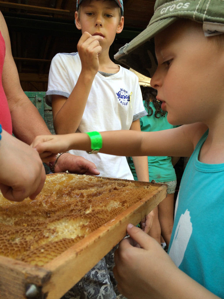 Zeltlager 2015 - Honigschlecken